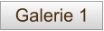 Galerie 1