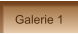 Galerie 1
