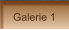 Galerie 1