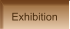 Exhibition