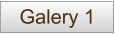 Galery 1