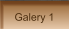 Galery 1
